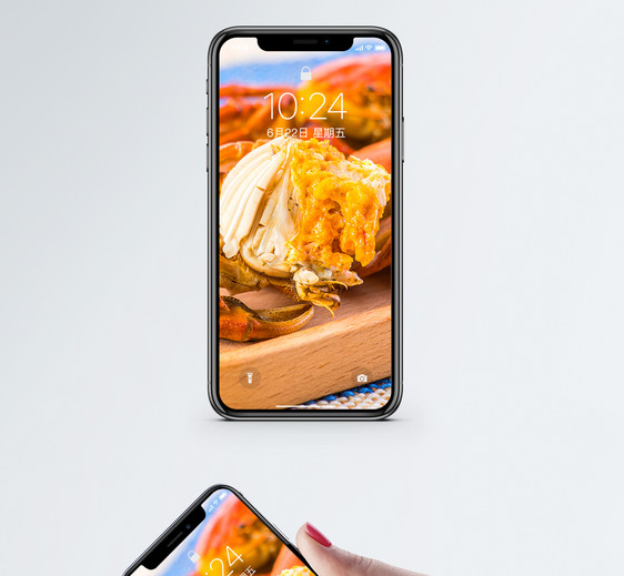 大闸蟹手机壁纸图片