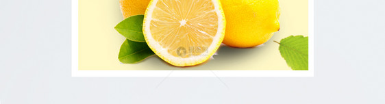新鲜采摘柠檬水果主图图片