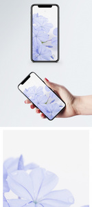 花卉手机壁纸图片