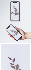 小清新树叶手机壁纸图片