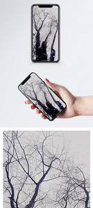 树木风景手机壁纸图片