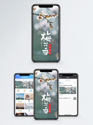 梅花香自苦寒来手机海报配图图片