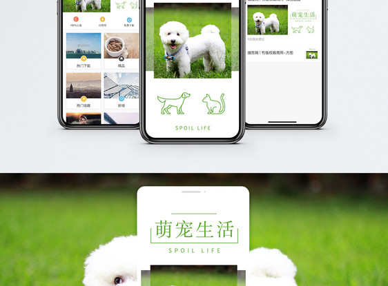 萌宠生活手机海报配图图片