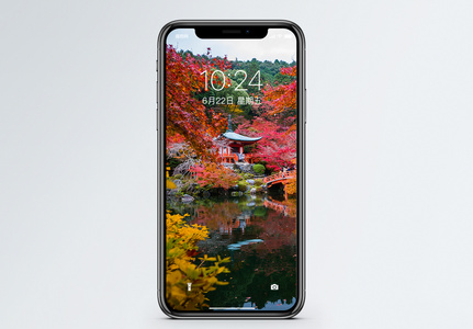京都的秋天手机壁纸图片