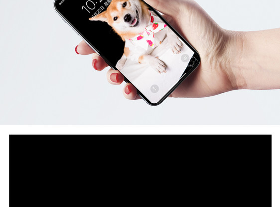 柴犬狗手机壁纸图片