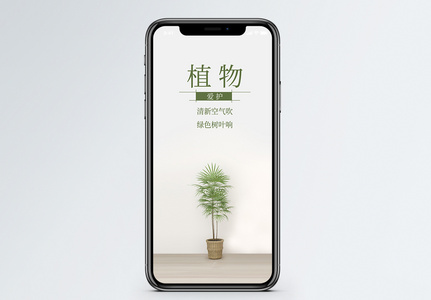 植物手机海报配图图片