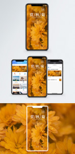 赏秋菊手机海报配图图片