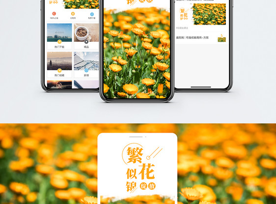 繁花似锦手机海报配图图片