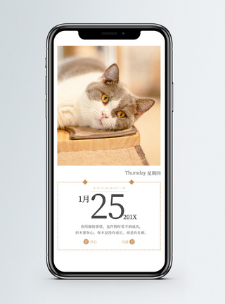 可爱的猫咪每日一签手机海报配图模板