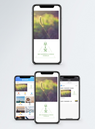 狗尾草早安手机海报配图模板
