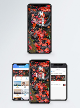 枫叶传情手机海报配图图片