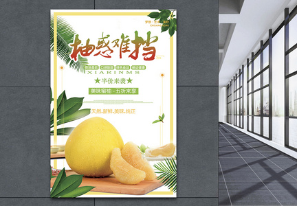 清新柚子宣传海报图片