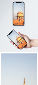 印度斋普尔老虎堡手机壁纸图片