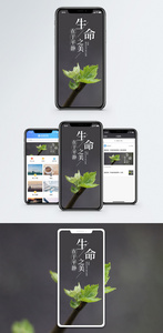 生命之美手机海报配图图片
