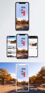 胡杨精神手机海报配图图片