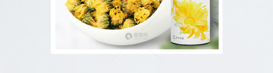 绿色清新花茶菊花茶主图图片