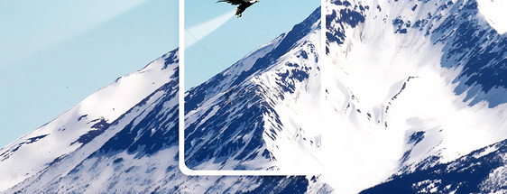 展翅高飞手机海报配图图片
