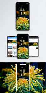 早安11月手机海报配图图片