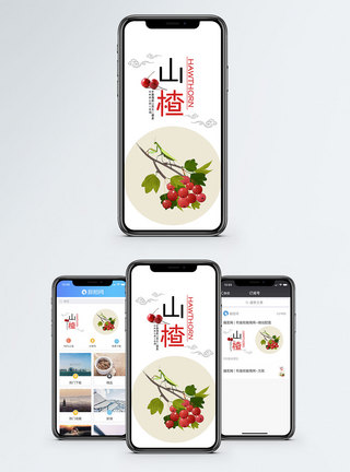 摘山楂山楂手机海报配图模板