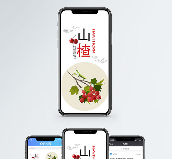 山楂手机海报配图图片