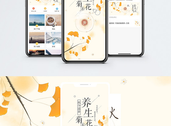 养生菊花茶手机海报配图图片
