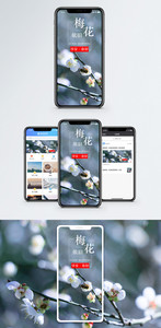 梅花依旧手机海报配图图片