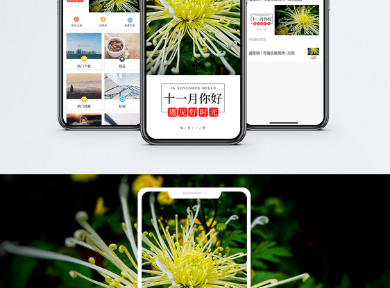 十一月你好手机海报配图图片