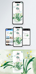 水仙手机海报配图图片