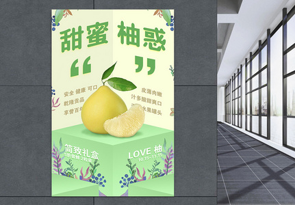 柚子尝鲜海报图片