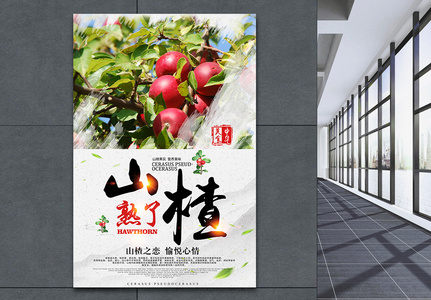 秋季水果山楂熟了海报高清图片