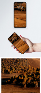 秋天的内蒙古草原手机壁纸图片