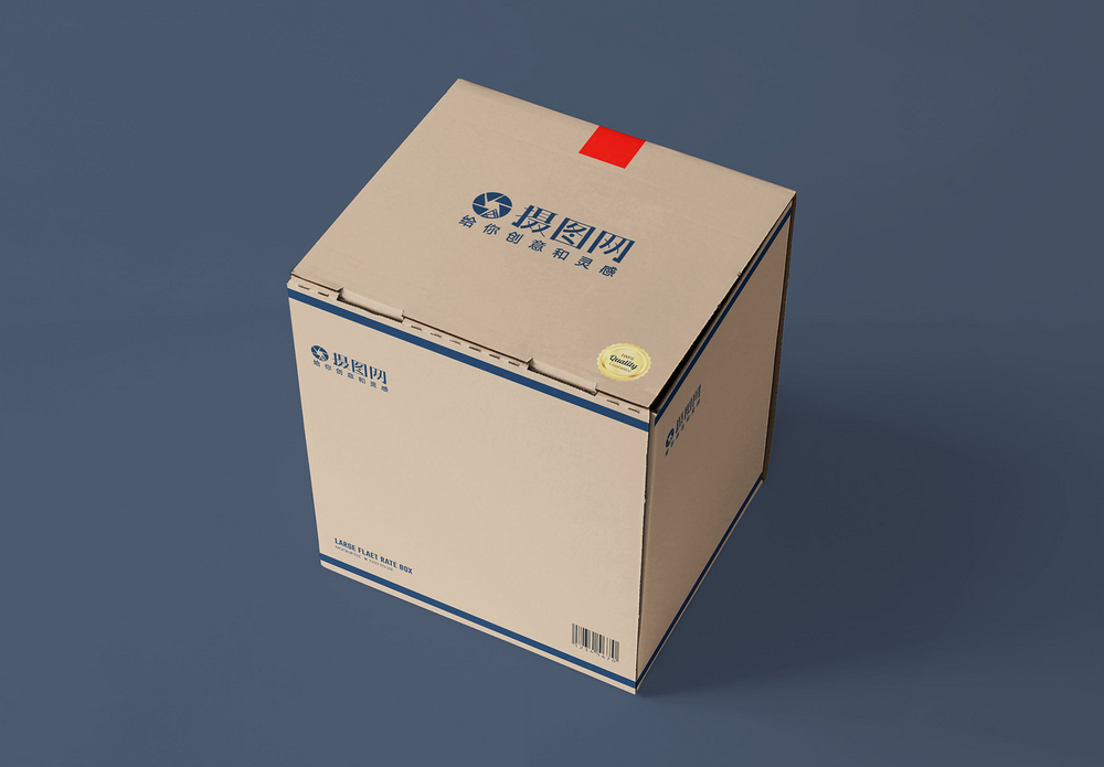 冷冻品发货快递包装快递盒子包装样机模板
