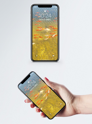 水中的锦鲤手机壁纸图片