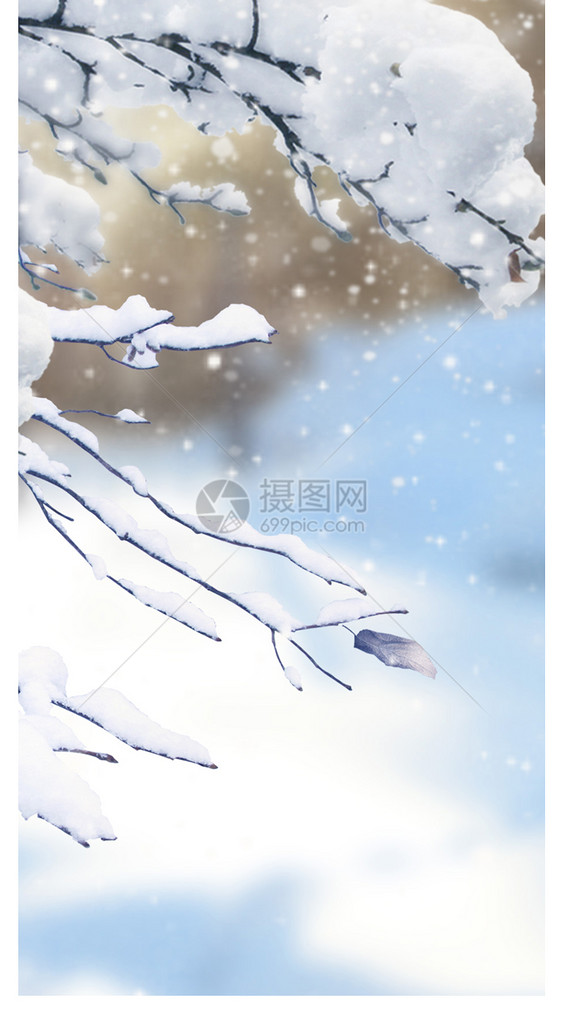 雪手机壁纸图片