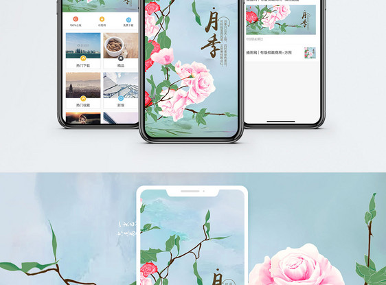 月季手机海报配图图片