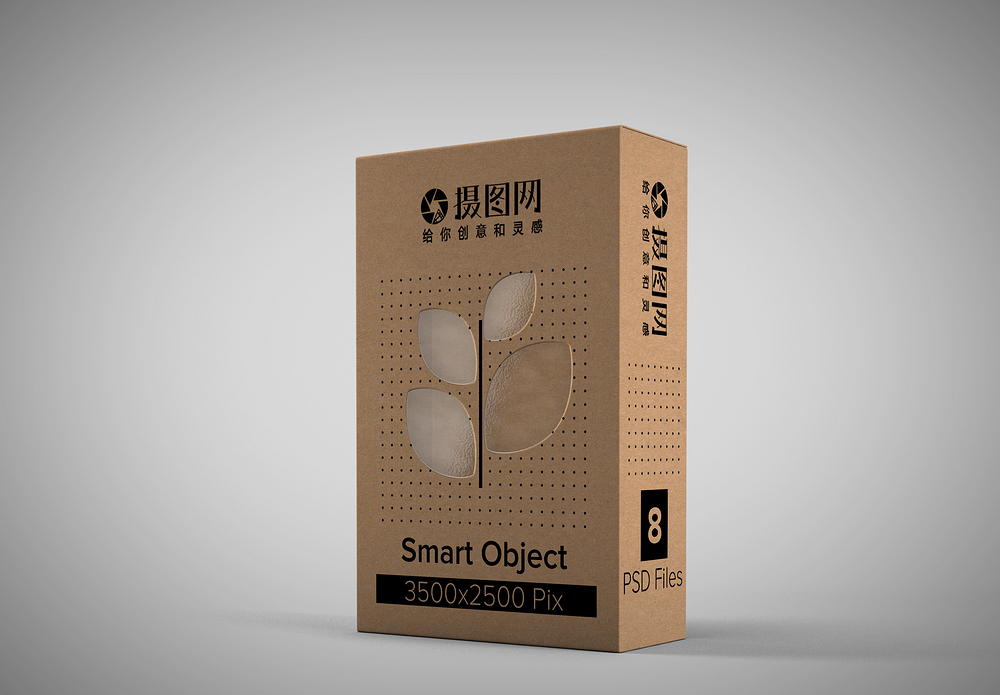 粉彩镂空镂空纸盒包装展示模板