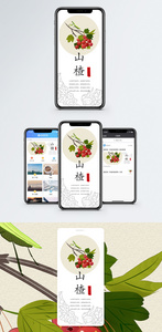 山楂手机海报配图图片