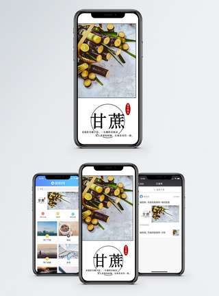 甘蔗手机配图海报图片