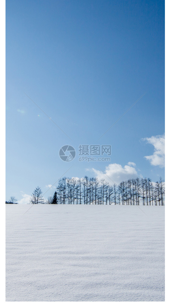 雪景下的树手机壁纸图片