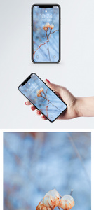 植物写真手机壁纸图片