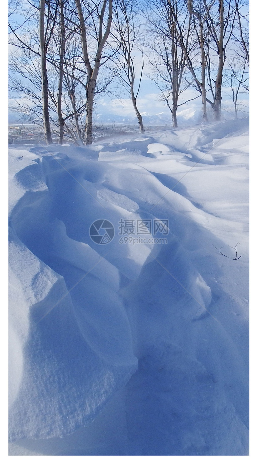 雪景手机壁纸模板素材 正版图片 摄图网