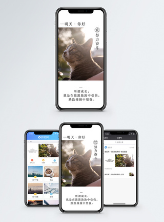 宠物阳光明天你好手机海报配图模板