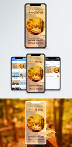 十一月你好手机海报配图图片