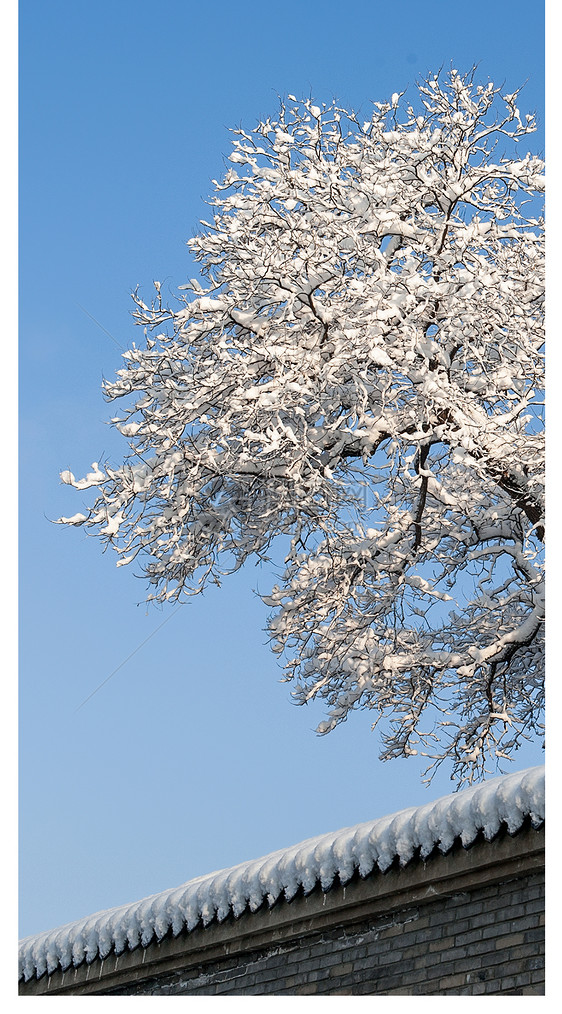 雪景手机壁纸图片