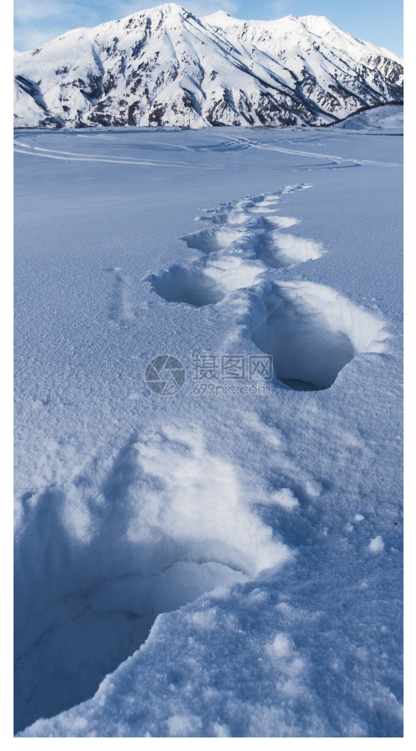 冬季雪地手机壁纸模板素材 正版图片 摄图网 冬季雪地手机壁纸模板素材 正版图片 摄图网