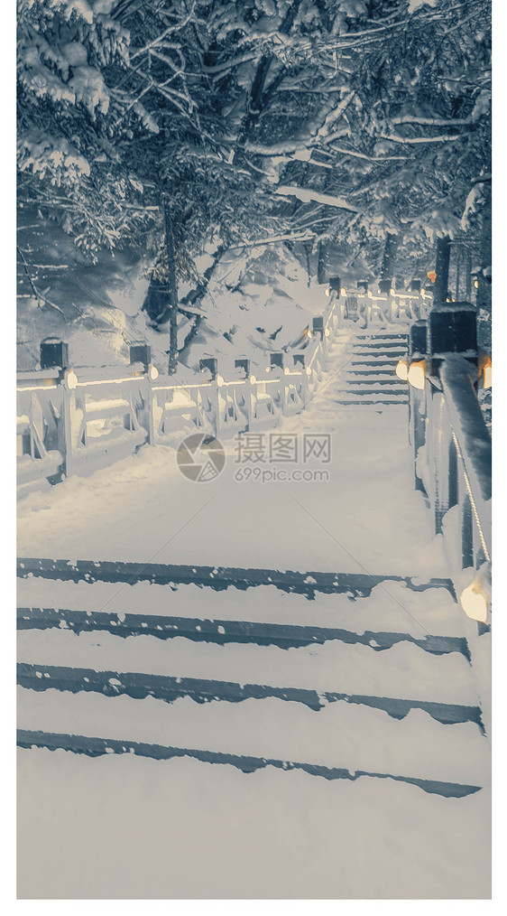 森林雪景手机壁纸图片