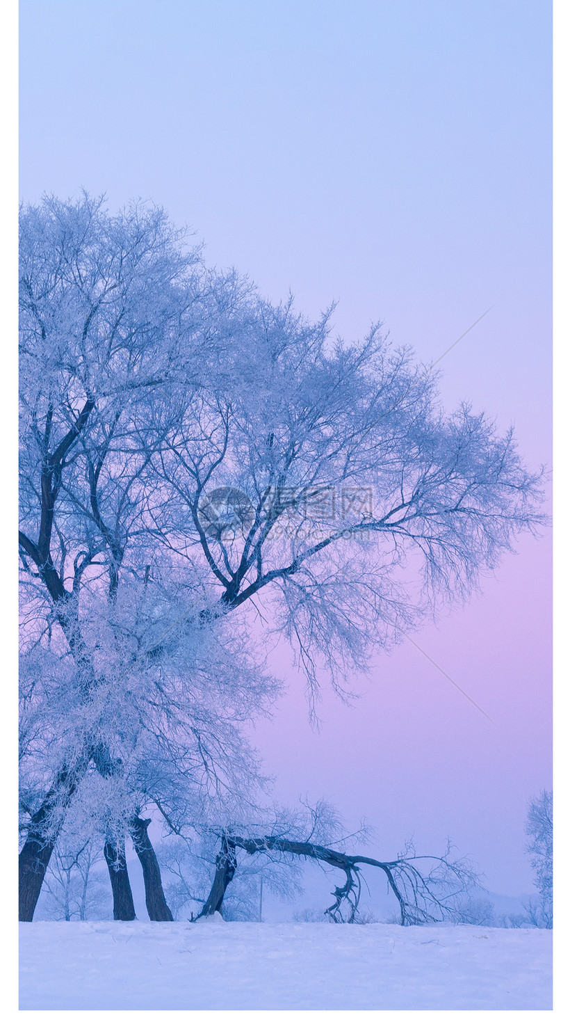 黑龙江雪景手机壁纸模板素材 正版图片 摄图网