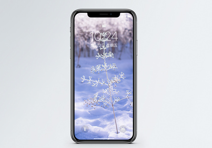雪景一棵小树手机壁纸高清图片