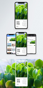 你好梦想手机海报配图图片