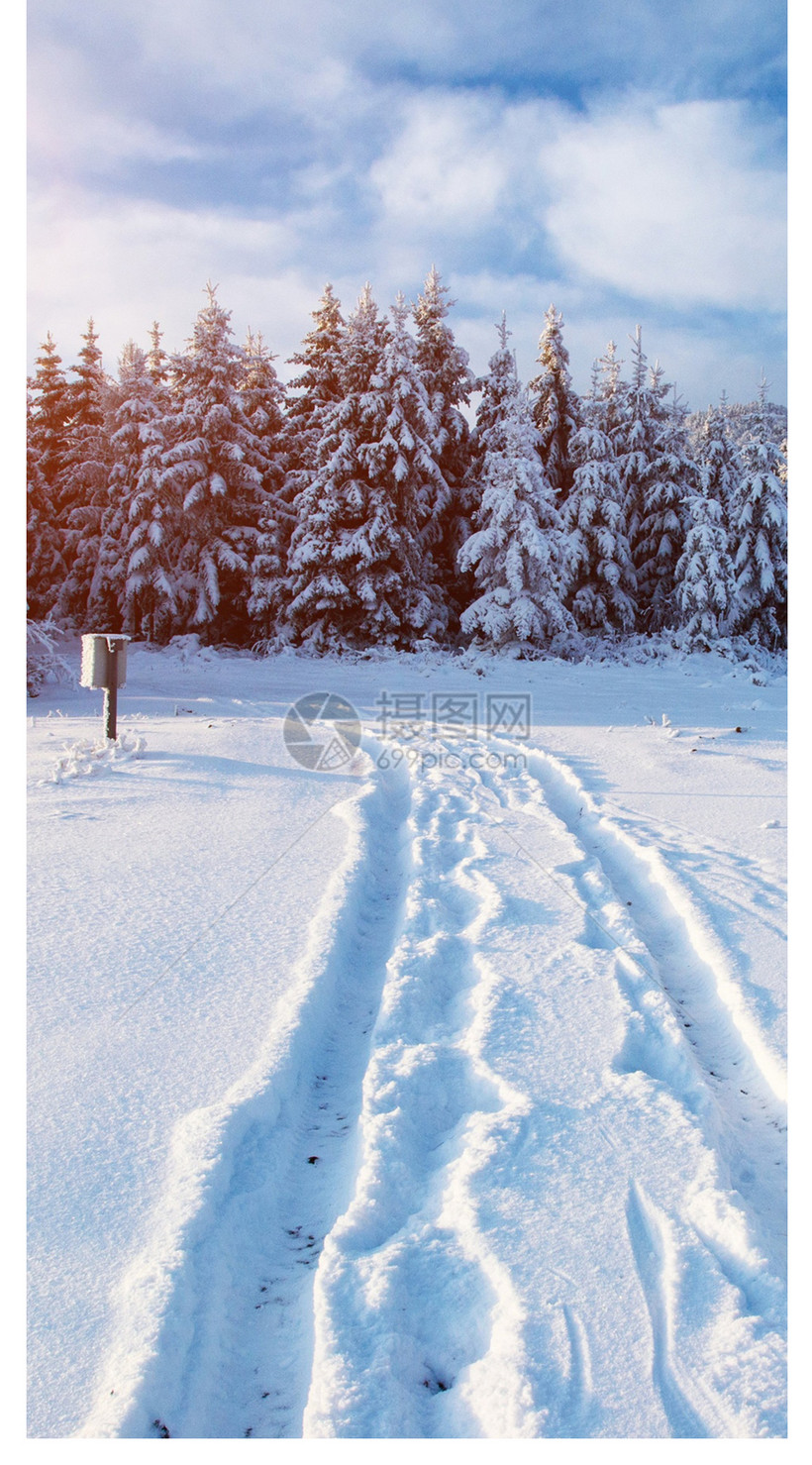 雪景手机壁纸模板素材 正版图片 摄图网 雪景手机壁纸模板素材 正版图片 摄图网